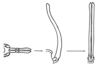Xyleus lineatus (Bruner, 1906): Fig. 29. apical endophallic valves, dorsal, lateral, and caudal view. (Otu).