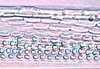 Ovipositor: Neoaliturus carbonarius, 1st valvula dorsal sculpturing (INHS). (Observation).