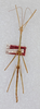 CollectionObject 1561495; 8e81f94e-6afb-4a87-939a-7ffcd0a4f93c: copyright ANSP. holotype (male). (CollectionObject).
