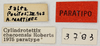 CollectionObject 1514240; 88418c0a-c5d6-4156-83ad-9e15e6c69bb4, MLP3783/4-5: labels (paratype). (CollectionObject).