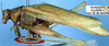 CollectionObject 1517554; a00cee40-57ee-4c91-af92-35b11ff1eea9: male, lateral view (holotype). (CollectionObject).