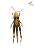 CollectionObject 1849312; 574aaac3-3ab7-455d-af6e-7e1c8270ea5c, Unioeste Cascavel K-0297: Female. Ventral view. (CollectionObject).
