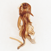 Aedeagus, lateral view on Cyclopoliarus omani (Metcalf, 1938): (Observation).