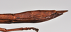CollectionObject 1558577; NTUC 723, 3f74161b-0c62-46e4-9d98-7d7d23d7bdc2: copyright NTUC. female: end of abdomen, lateral view of synonym Entoria nagoensis (holotype). (CollectionObject).