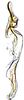 Aedeagus, lateral view: !! display not done !! on Cortona minuta Oman, 1938: Aedeagus, lateral view. (Observation).