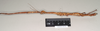CollectionObject 1563685; 40ff26dc-6cda-4ff4-a8bb-01372c4da534: copyright Natural History Museum, London. female, lateral view (paratype). (CollectionObject).