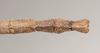 CollectionObject 1559190; 757e84e3-b278-4b57-80c7-bf8a63723ab9: copyright Natural History Museum, London. male: end of abdomen, dorsal view (lectotype). (CollectionObject).