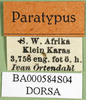 CollectionObject 1571184; 891f75bf-c880-41d1-9ef1-8fd8fcefe36e, DORSA BA000584S04: labels (syntype of Karasicola oertendali). (CollectionObject).