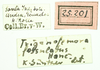CollectionObject 1586203; 3d07d60f-4675-4cb4-8a0c-d2f63d3a0ccf: labels. (CollectionObject).