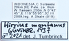 CollectionObject 1592109; 3cf4ca64-c867-4a2b-9075-cec587fb5ae6: labels (paratype). (CollectionObject).