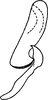 Aedeagus, lateral view on Atkinsoniella nigrominiatula (Jacobi, 1944): Aedeagus, lateral view. (Observation).