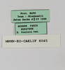 CollectionObject 1588734; 11249372-3d4f-4465-9e00-f34d74f9520e: labels. (CollectionObject).