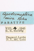 CollectionObject 1593079; 16123e91-a7e4-419d-87dc-5bc840790715: male, labels (paratype). (CollectionObject).