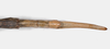 CollectionObject 1576614; 04e63718-9693-498a-925e-4acc8d677421: copyright USNM, Washington. female: end of abdomen, dorsal view (paratype). (CollectionObject).;CollectionObject 1576615; 6b99b982-327a-4ec0-b37d-1dfcae616e79: copyright USNM, Washington. female: end of abdomen, dorsal view (paratype). (CollectionObject).