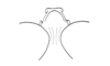 Miacris rubriventris Descamps, 1981: Fig. 68. male, fastigium, dorsal view. (Otu).