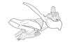Episomacris tarsata Carbonell & Descamps, 1978: Fig. 59. phallic complex without epiphallus, lateral view. (Otu).