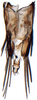 Pygofer, dorsal view: Scaphoideus omani, pygofer, dorsally (INHS). (Observation).