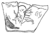Callimenellus fumidus Walker, 1871: Fig. 15. pronotum, lateral view. (Otu).