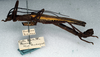 CollectionObject 1560648; 5111c34b-3ff5-4f7a-9034-d20d0a20c15f: copyright NMW. male, lateral view (syntype). (CollectionObject).