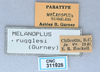 CollectionObject 2765678; CNCI 311928, 031b8c4f-da92-4cd7-b775-43d01e37508b: (CollectionObject).
