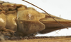 CollectionObject 1539770; 68016413-708a-4add-a030-55150933854f: female subgenital plate (holotype). (CollectionObject).