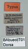 CollectionObject 1500998; 41b49a29-bfdb-44d9-a825-b44e2c392cb4: labels (holotype). (CollectionObject).