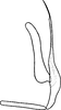 Aedeagus, lateral view: Aedeagus, lateral view. (Observation).