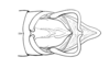 Zygoclistron superbum Rehn, 1907: Fig. 72. male abdomen tip, dorsal view. (Otu).
