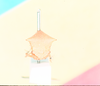 Head: !! display not done !! on Stictocephala alta (Walker, 1851): (Observation).