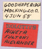 CollectionObject 1499331; af9cfb1a-5225-41d7-9962-07a4b1fe993f: labels (holotype). (CollectionObject).