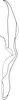 Aedeagus, lateral view: Aedeagus, lateral view. (Observation).