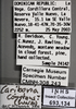 Other on Caribovia constans (Walker, 1858): Labels. Labels for the dark blue colored specimen. (Observation).