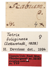 CollectionObject 1596413; 6f724ff7-ab91-4ac3-8054-998e23d24801: female (labels), no type. (CollectionObject).