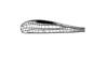 Encoptolophus otomitus (Saussure, 1861): Fig. 29C. hind wing. (Otu).