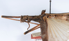 CollectionObject 1561457; bdd46e1a-8c06-4397-bc43-fabaad6d7eba: copyright ANSP. female: head & thorax, lateral view (holotype). (CollectionObject).