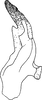 Stylus: !! display not done !! on Neoaliturus (Circulifer) tenellus (Baker, 1896): Stylus. (Observation).