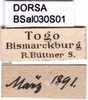 CollectionObject 1502538; f67eb336-ace7-47e6-bec1-0a589623c1f5: labels (syntype). (CollectionObject).