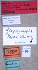 CollectionObject 1534725; 0c8b9bc8-b13c-4082-89ea-fd0ed5b9ee6e: labels (syntype). (CollectionObject).