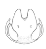 Ceuthophilus (Geotettix) silvestris Bruner, 1886: male subgenital plate (Illinois: Peoria Co. W of Hanna City, 22/10/2004, J.E. Petzing & K.L. Knuffman col.). (Otu).