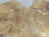 CollectionObject 1578223; 15a4a989-b64f-41f9-bff0-865db3461705: male, sternum. (CollectionObject).