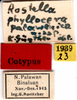 CollectionObject 1578003; 2e8a9926-3bcd-4944-b4f5-481bbf8356af: labels. (CollectionObject).