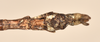 CollectionObject 1561085; a4e2c403-bfd2-4dee-93b9-b969e64160dc: copyright OUMNH. male: end of abdomen, ventral view (lectotype). (CollectionObject).