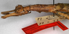 CollectionObject 1562115; fdda5288-fc13-4d19-b6d9-0ce6f54dc7e9: copyright NMW, Vienna. female: head and thorax, lateral view (syntype). (CollectionObject).;CollectionObject 1562116; 60ab4a1f-8fd5-4510-b1a8-175709ecbabe: copyright NMW, Vienna. female: head and thorax, lateral view (syntype). (CollectionObject).