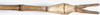 Phobaeticus philippinicus (Hennemann & Conle, 1997): copyright F. Hennemann. male: end of abdomen, dorsal view (paratype). (Otu).