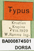 labels (holotype). Depicts CollectionObject 1501322; f69f4b46-96db-4ad1-a11d-72bcdbbfad72, a CollectionObject.