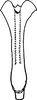Aedeagus, ventral view on Erythridula zephyr (Ross & DeLong, 1953): Aedeagus, ventral view. (Observation).