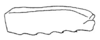 Callimenellus maculatus Gorochov & Voltshenkova, 2005: Fig. 44. mid femur (probably female). (Otu).