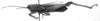 CollectionObject 1574948; 04446631-d9b2-43fd-857e-ef83909b5894: male, lateral view. (CollectionObject).