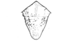 Jivarus alienus (Walker, 1870): Fig. 202. female, epiproct. (Otu).