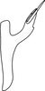 Aedeagus, lateral view on Asymmetrasca reflexilis Liu & Zhang, 2014: Aedeagus, lateral view. (Observation).